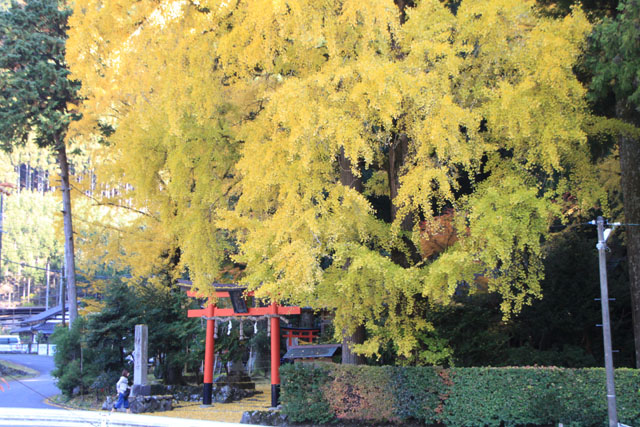岩戸落葉神社_e0048413_22581685.jpg