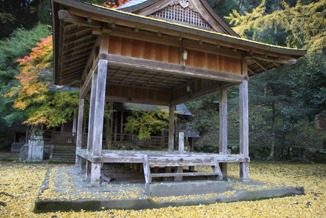 岩戸落葉神社_e0048413_22592312.jpg