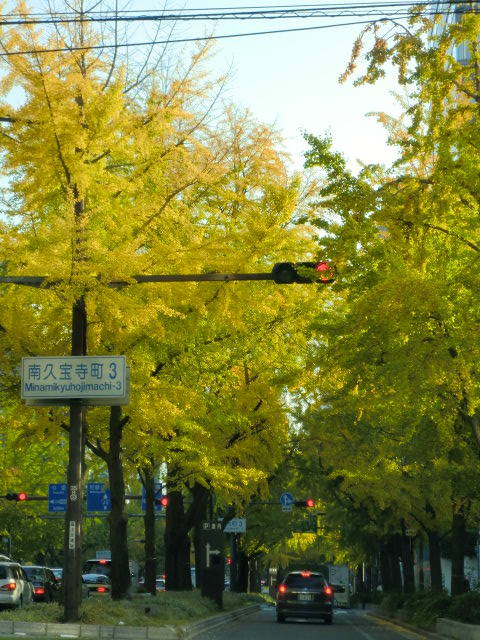 a0147416_1319815.jpg