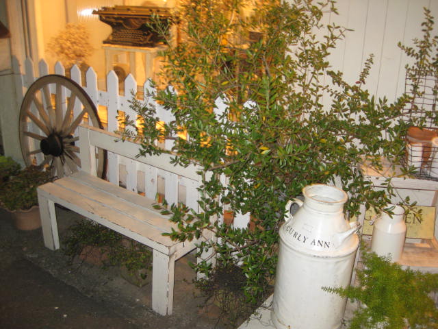 c0085916_115655.jpg