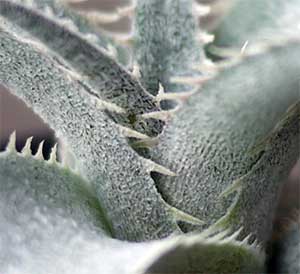 e0168016_1391415.jpg
