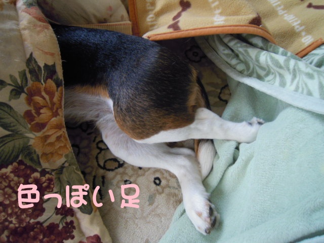 c0166622_1015163.jpg