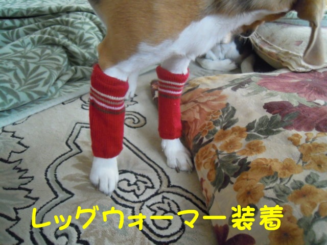c0166622_10161631.jpg