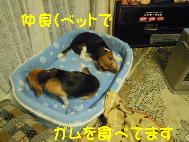 c0166622_10173670.jpg
