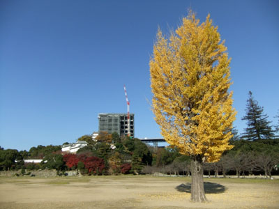 e0133025_21591491.jpg