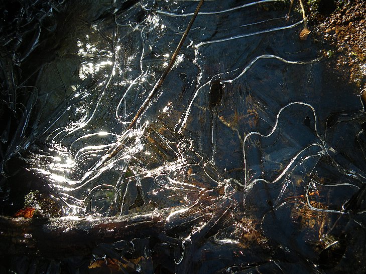 f0118332_2256074.jpg
