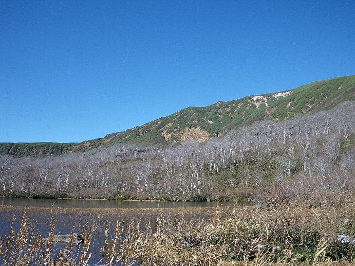 f0118332_22594325.jpg