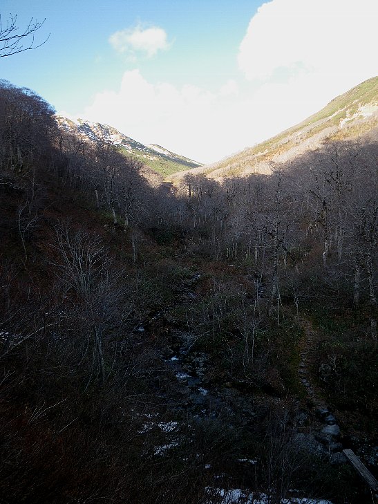 f0118332_2313712.jpg