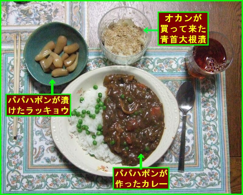 ネタ切れでカレーを作るパパハポン_c0004734_224244100.jpg