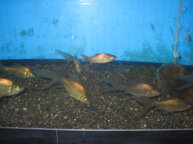 f0214235_18154523.jpg
