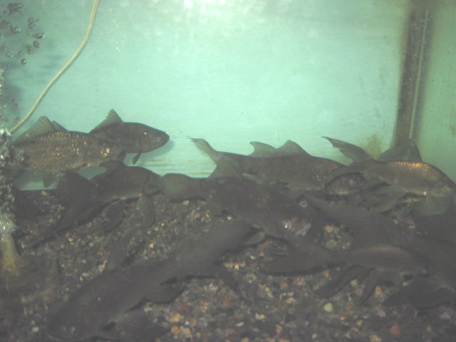 f0214235_18174434.jpg