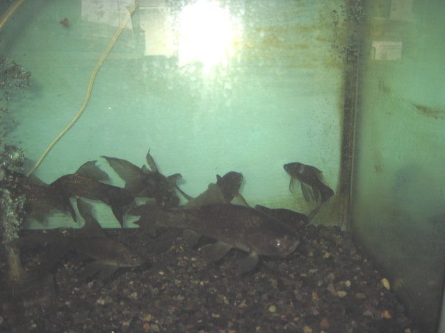 f0214235_18175955.jpg