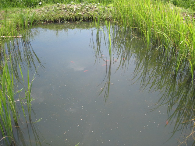 f0214235_1845671.jpg