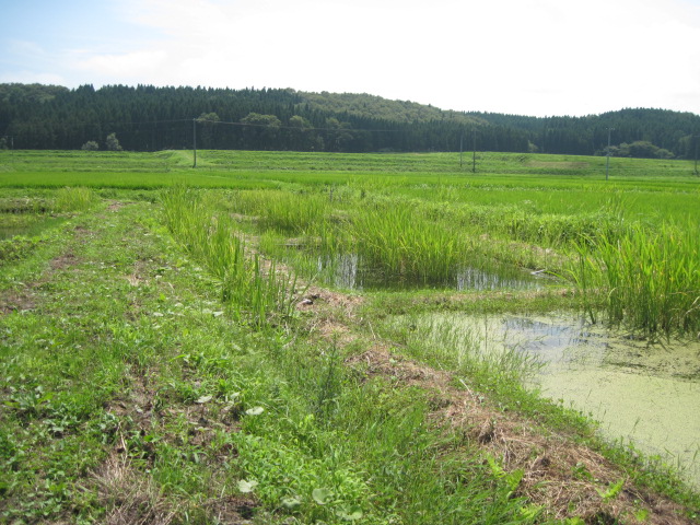 f0214235_185450.jpg