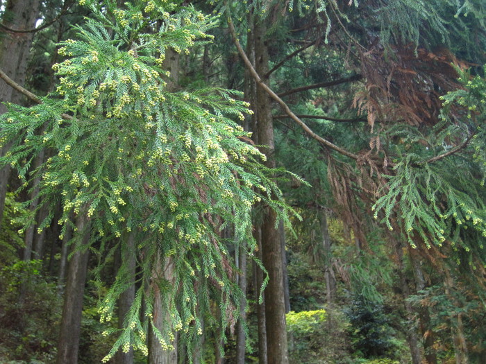 お花とかクモとか紅葉とか・・・。_e0160036_16352639.jpg