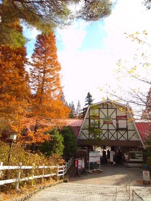 e0147641_0251667.jpg