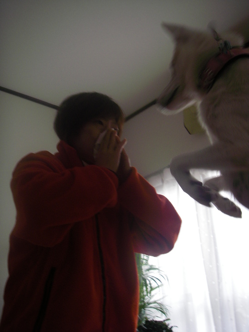d0204043_04484.jpg