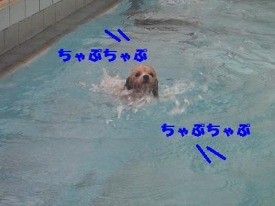 山中湖Again♪~友情編_e0195743_129562.jpg