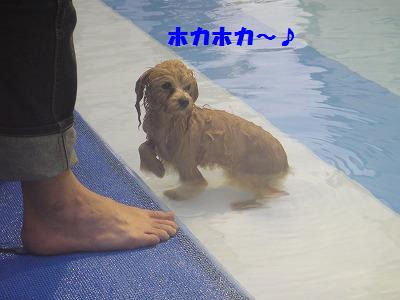 山中湖Again♪~友情編_e0195743_130540.jpg