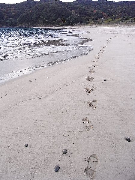 b0165444_102539.jpg