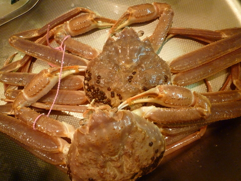 e0199344_10543457.jpg