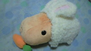 新しいお友達〜〜♪♪v(●´∀｀●)v_c0210747_320526.jpg
