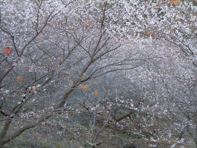 f0202151_213519100.jpg