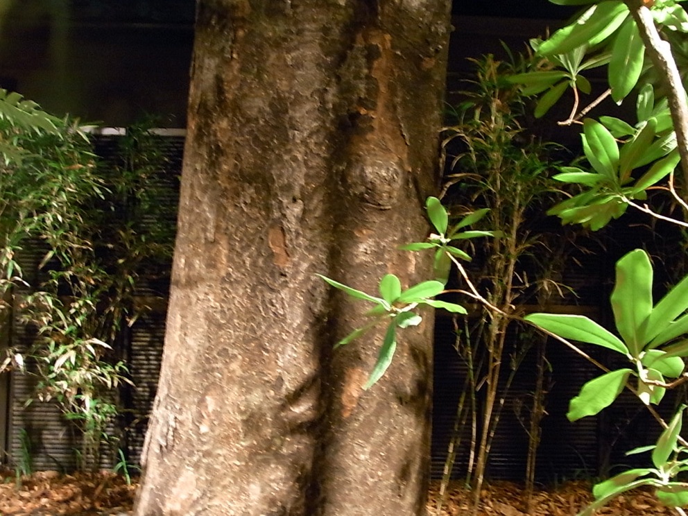 c0113755_48883.jpg