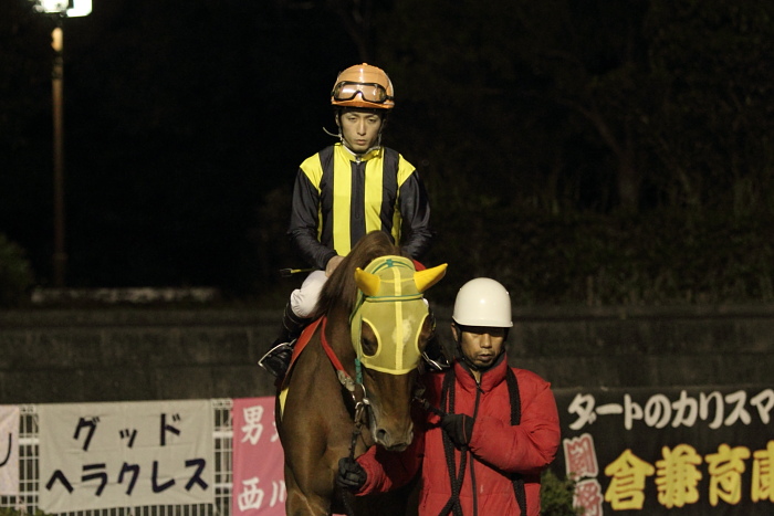 2010年11月27日（土） 高知競馬 10R 高知の新高梨特別 A-1 選抜馬_a0077663_22262079.jpg