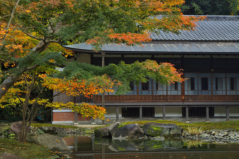 鎌倉　円覚寺（１１月２６日）_c0057265_3472919.jpg