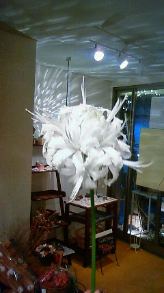 e0200269_179047.jpg