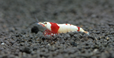 f0224970_2071027.jpg