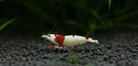f0224970_2072077.jpg