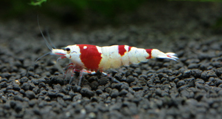 f0224970_2073225.jpg