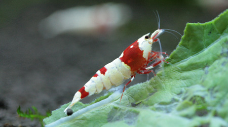 f0224970_2074627.jpg