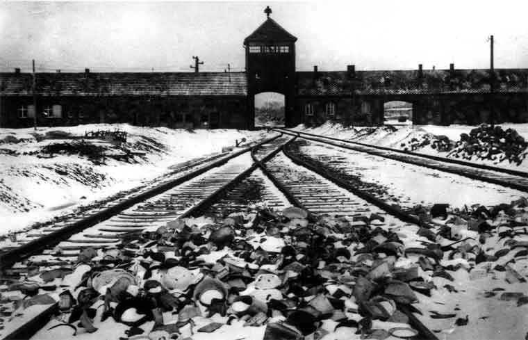 ナチ・ユダヤ人が「最終的解決」を設計した 　by Henry Makow, Ph.D. _c0139575_742640.jpg