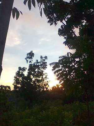 a0108380_8232481.jpg
