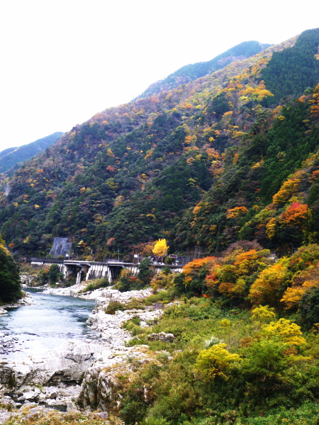 d0179983_18505672.jpg