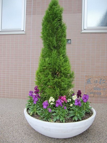 b0182884_22116100.jpg