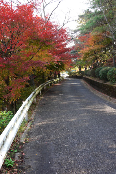 秋の陶器市で撮影会★『有田町歴史民俗資料館』@佐賀県_f0189385_23474311.jpg