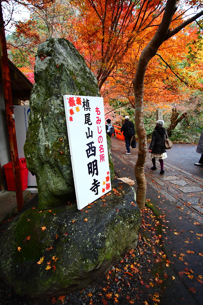 栂尾（とがのお）　高山寺_d0150287_17341897.jpg