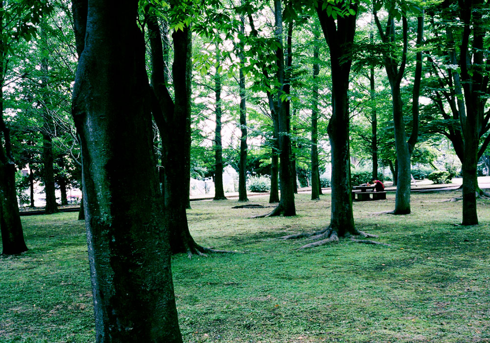 e0216492_252547.jpg