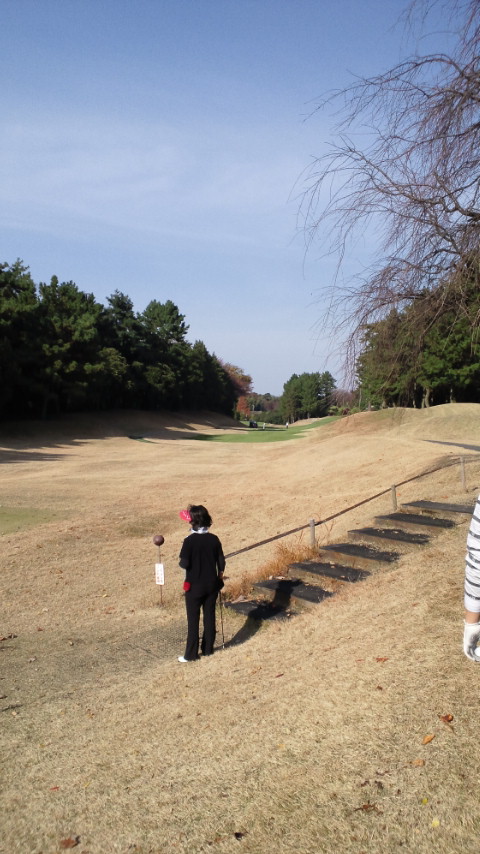 小田急藤沢ゴルフデビュー戦_d0092901_2162441.jpg