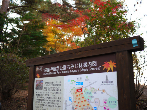 a0164102_8522522.jpg