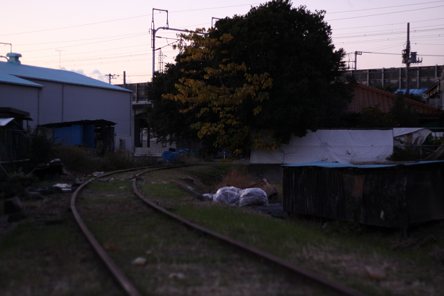 b0125902_1372626.jpg
