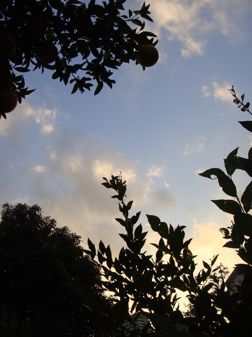 a0167803_15579.jpg