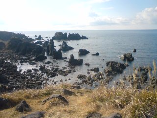 d0131505_1143630.jpg