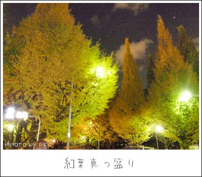 f0203406_10583075.jpg