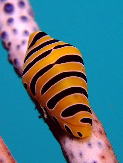 d0175710_9362728.jpg
