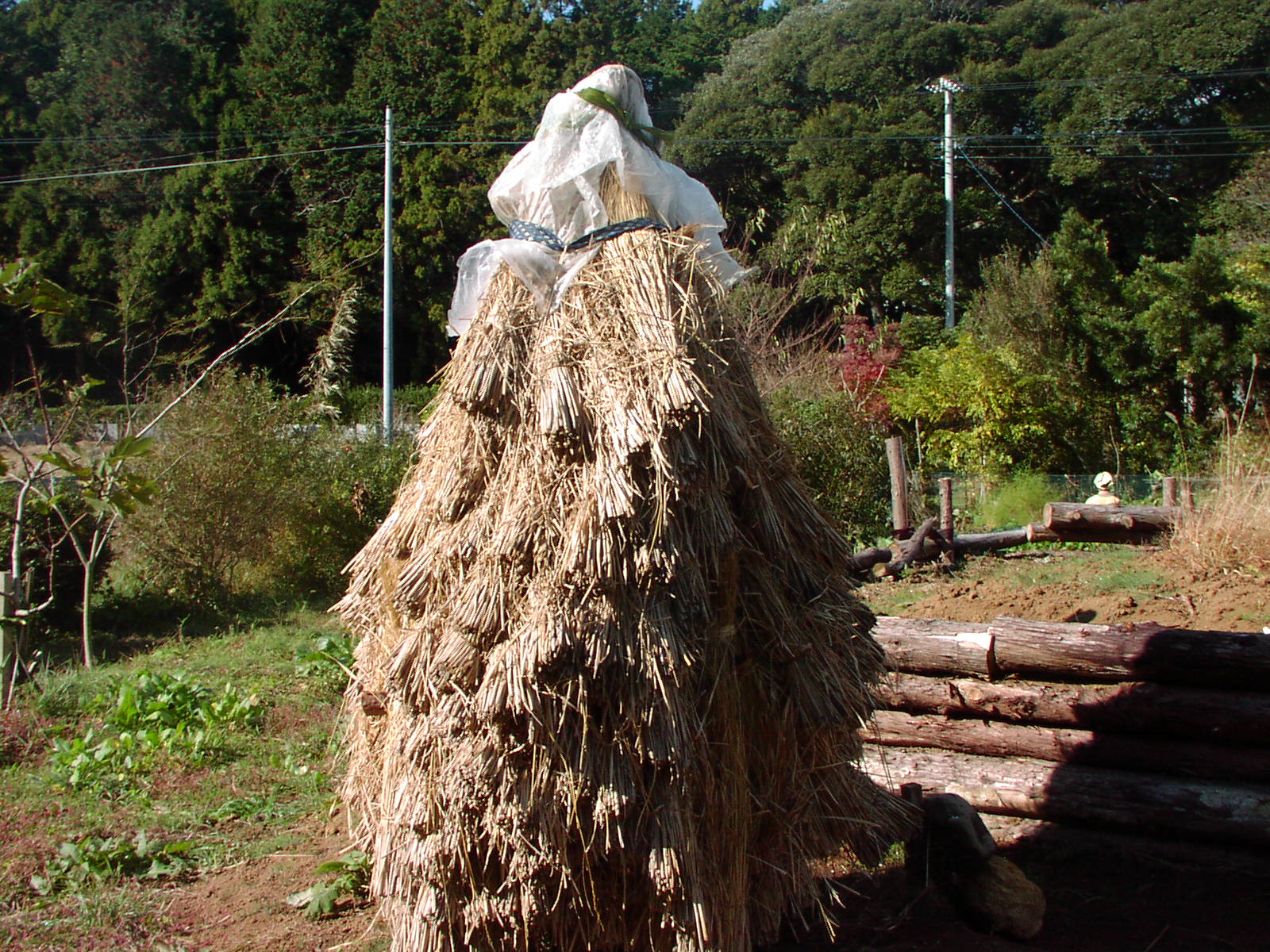 f0164410_22301470.jpg
